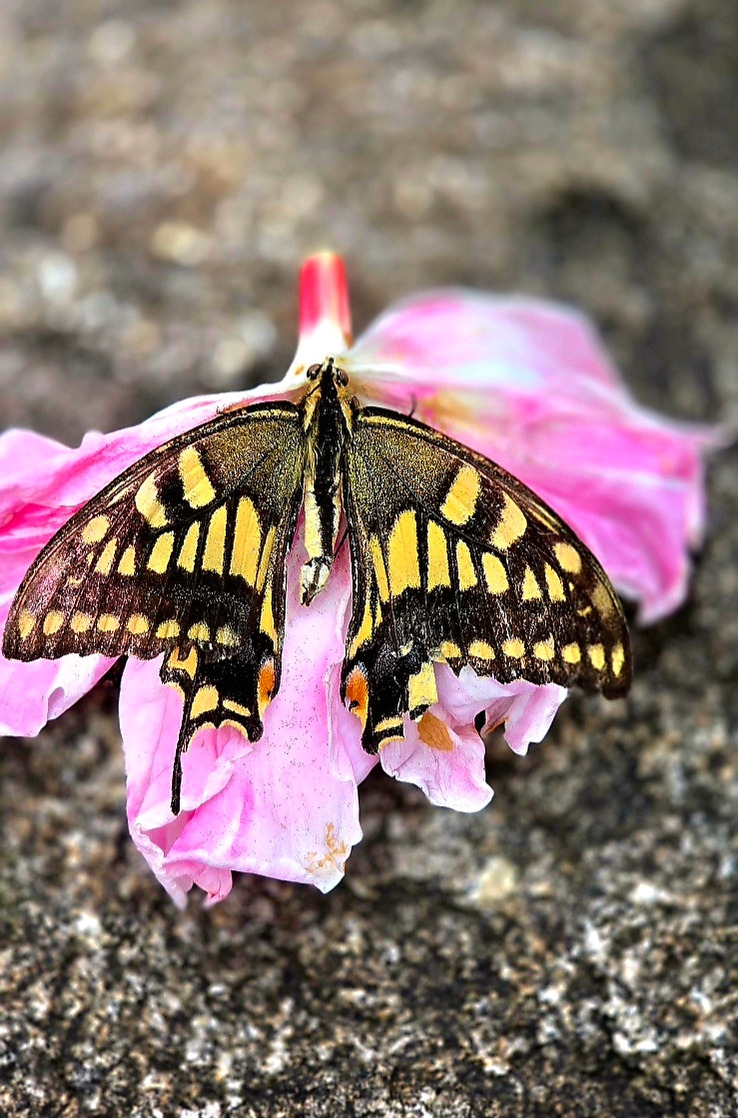 9.22 가을그림자1.jpg