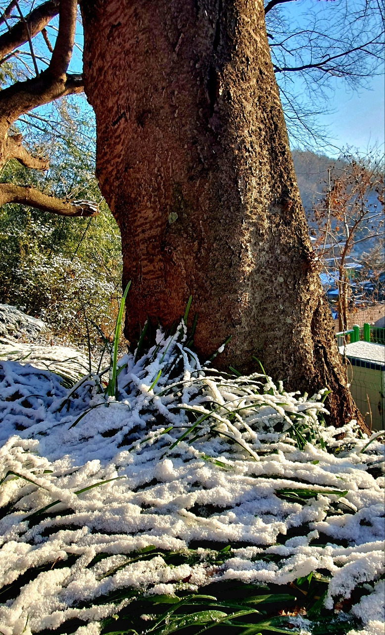 1.5 논어필사1.jpg