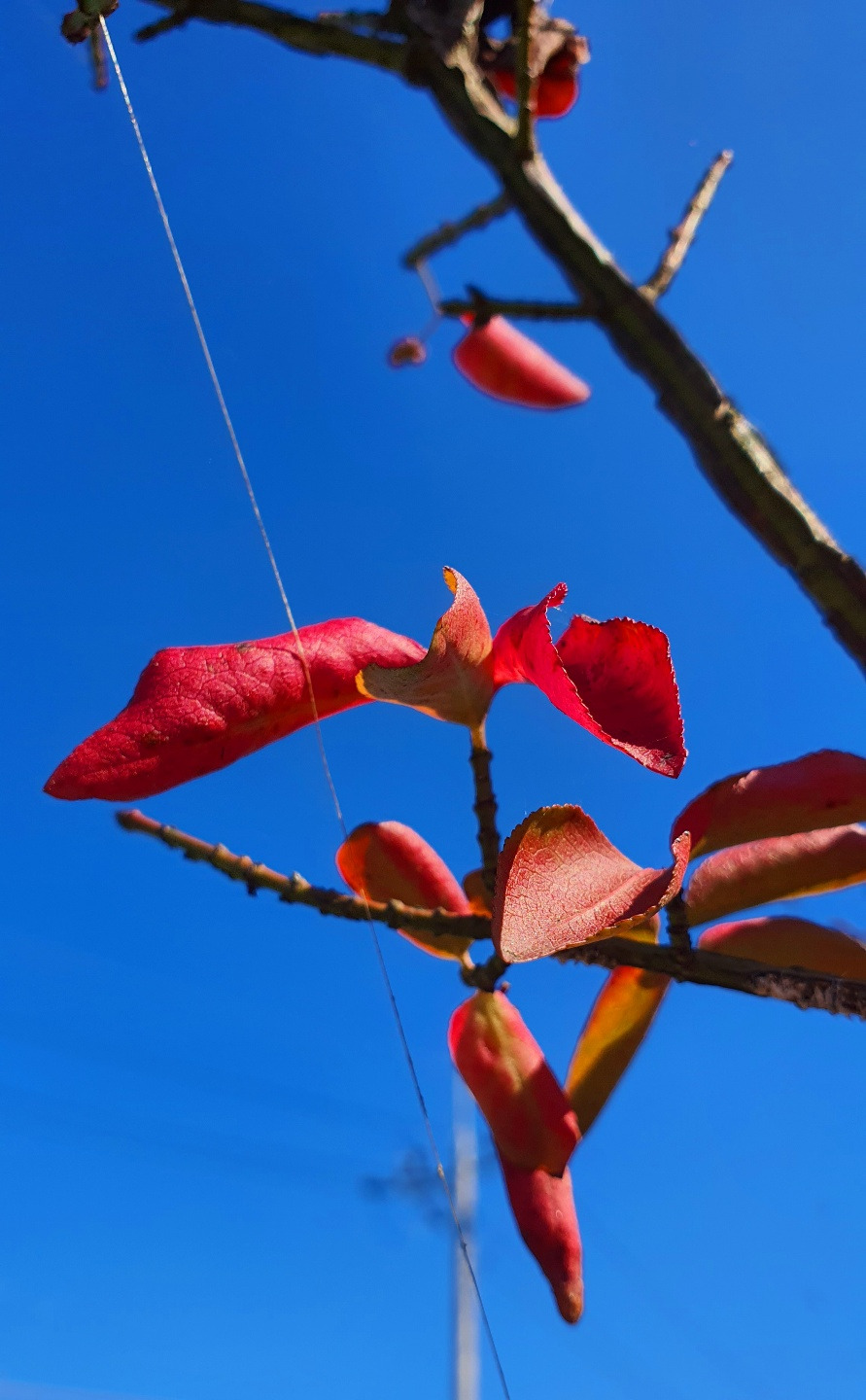 10.16 가을편지.jpg