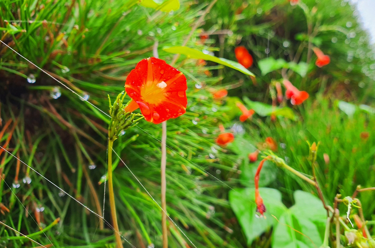 10.17 사람사이.jpg