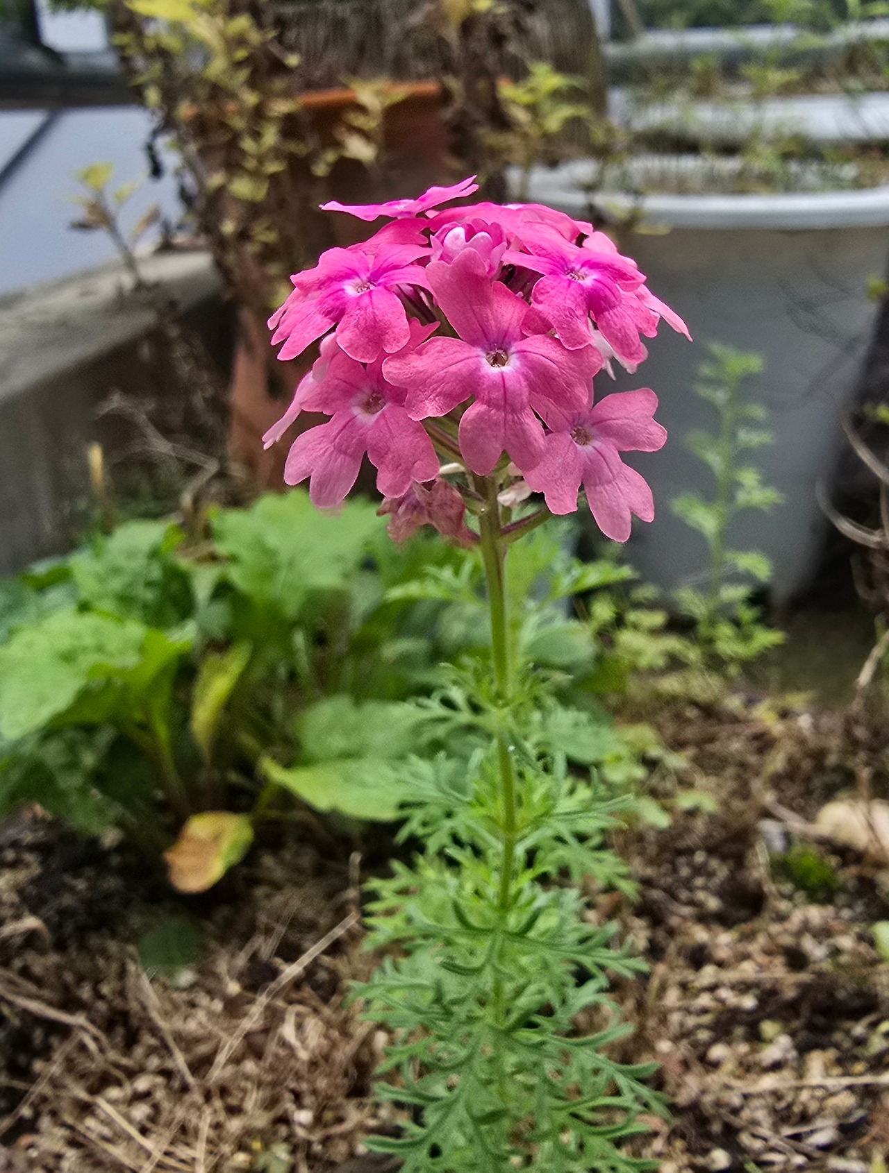 9.13 영어동화1.jpg