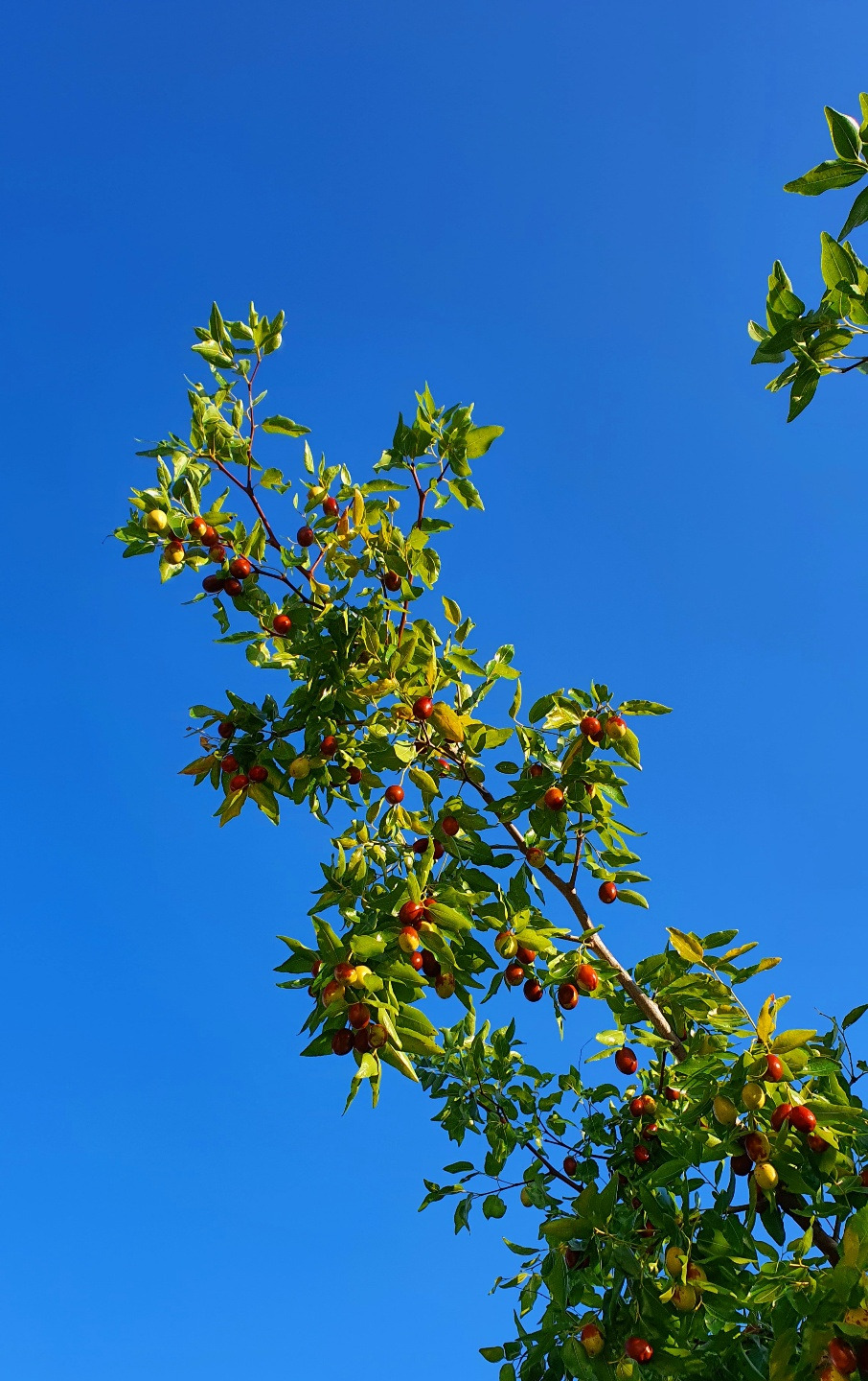 9.20 마을인사진촬영.jpg