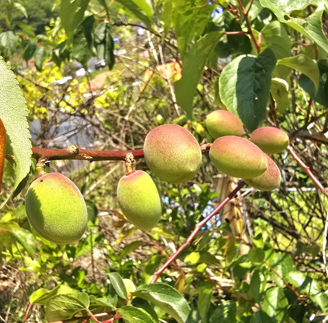 5.13 말의품격1.jpg