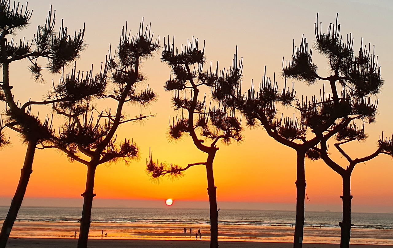 5.29 전선영 시.jpg