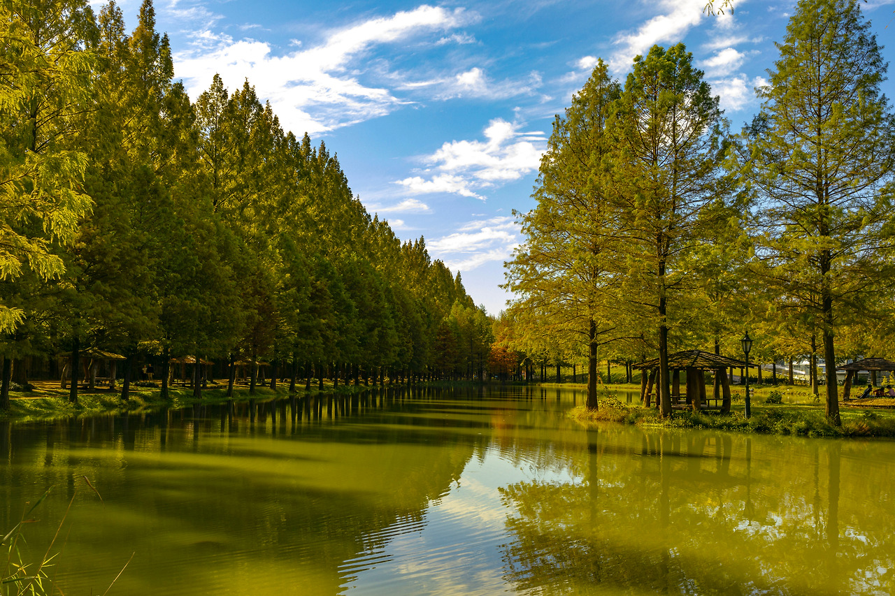 11.5 복실수술후.jpg