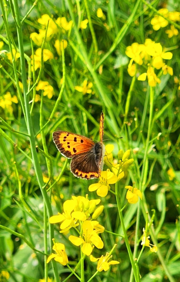 4.30사월의 끝1.jpg
