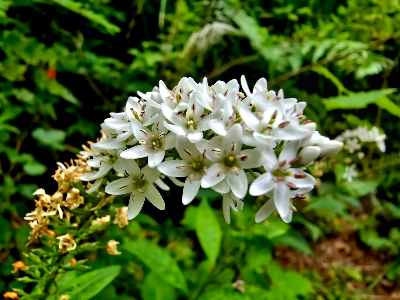 7.3 전주연못1.jpg