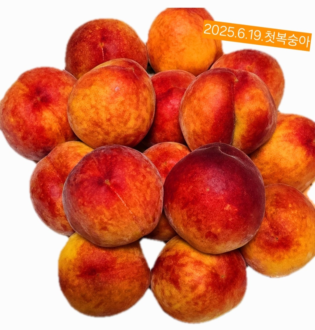 6.19첫복숭아2.jpg