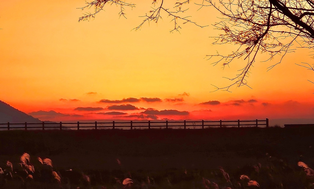 12.13탄핵1일전 2.jpg