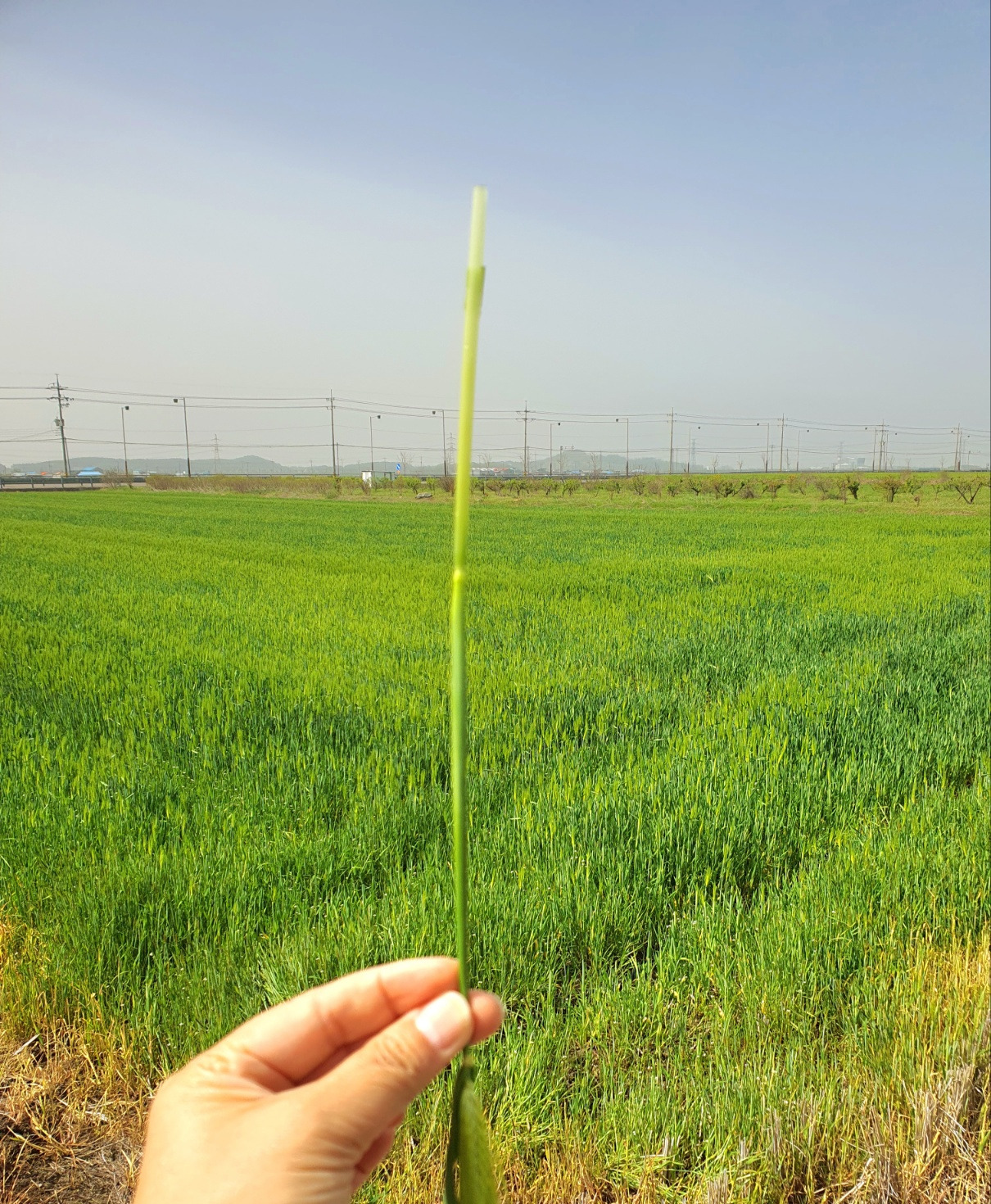 4.18 봄날편지생일1.jpg