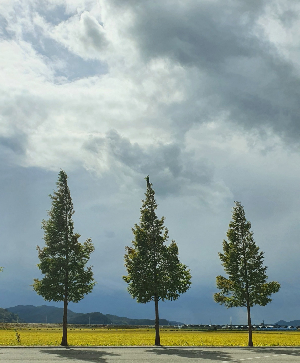 10.15 남편의시1.jpg
