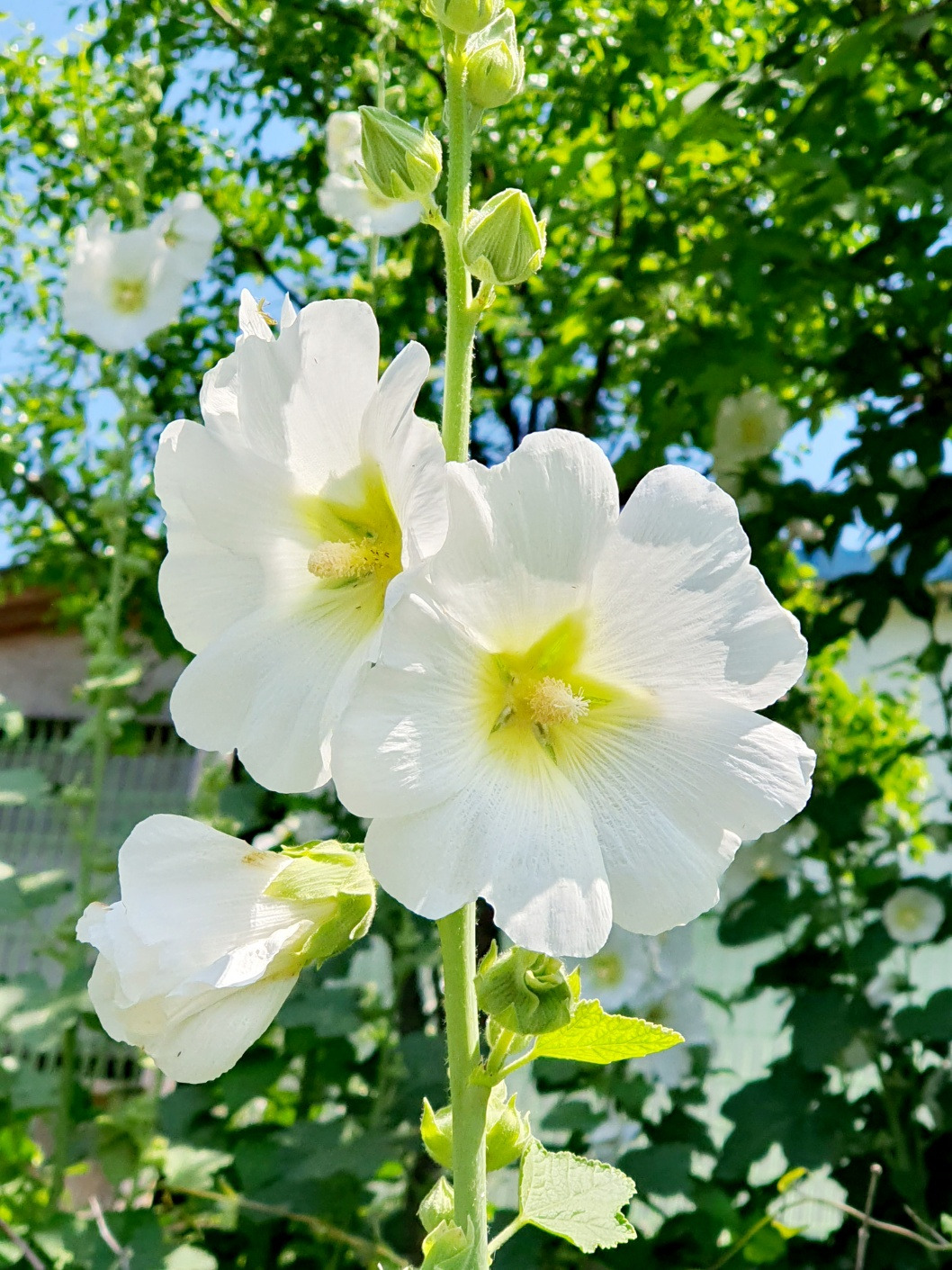 6.13손과 위로1.jpg