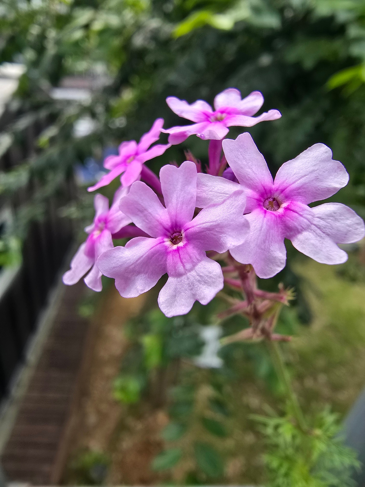 10.22 조용한 일2.jpg