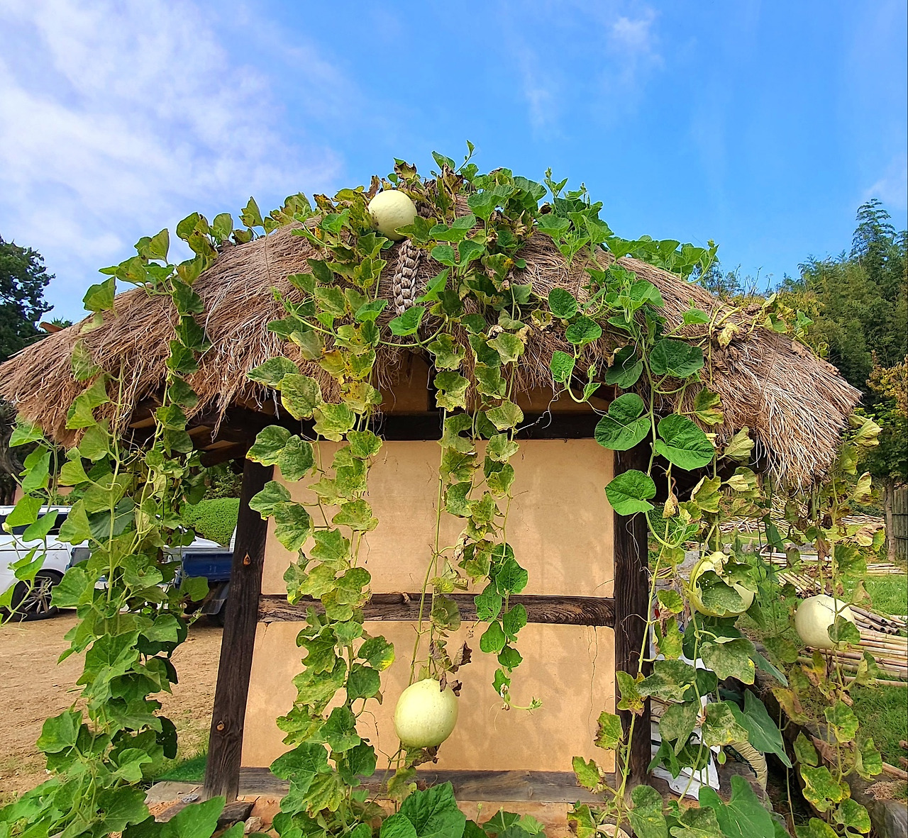 10.17서천 박1.jpg