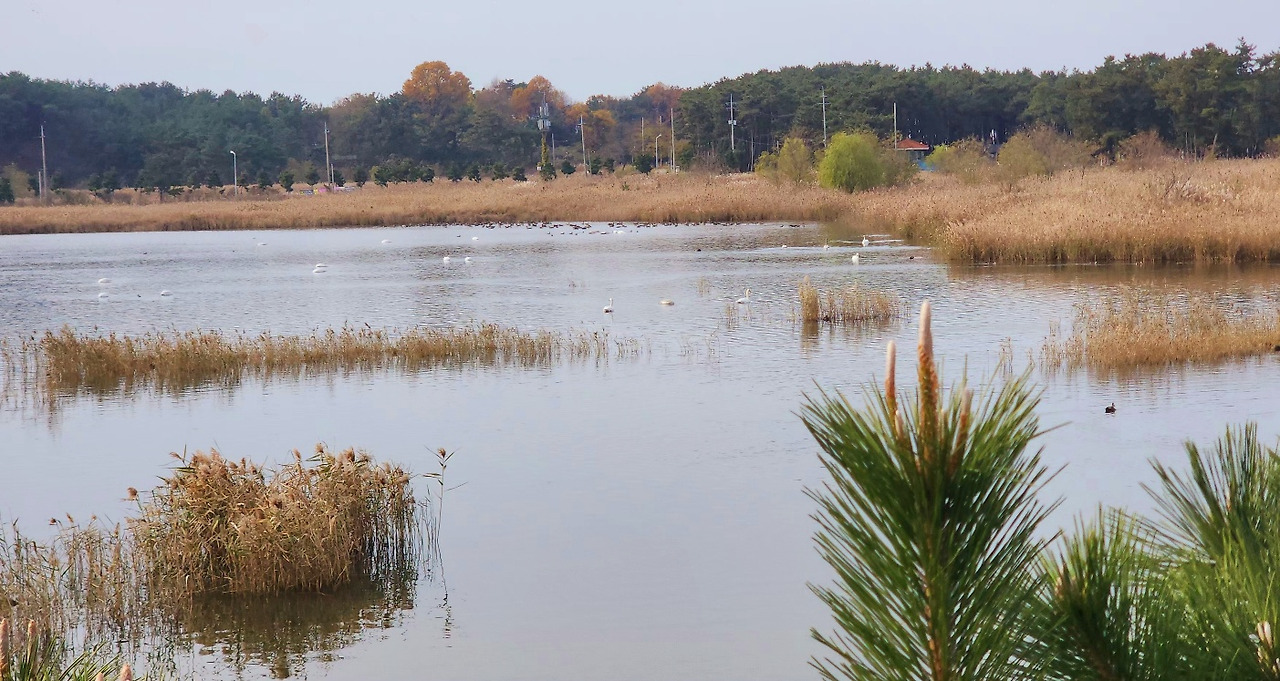 12.1 십이월첫날1.jpg