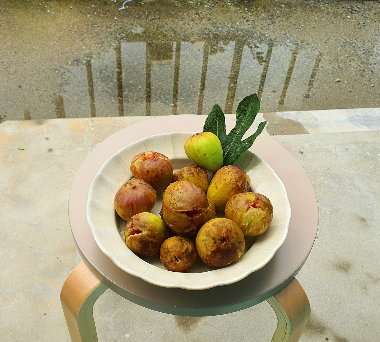 9.7 그리움-무화과.jpg