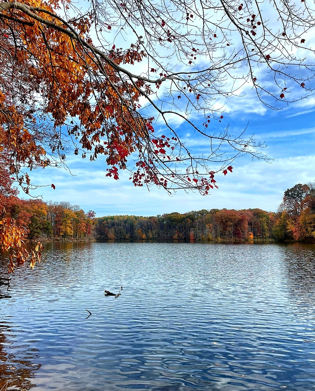 11.5 민국장지에...jpg