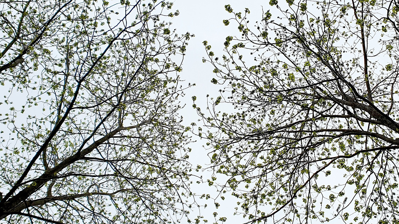 5.5 햇빛이말을걸다.jpg