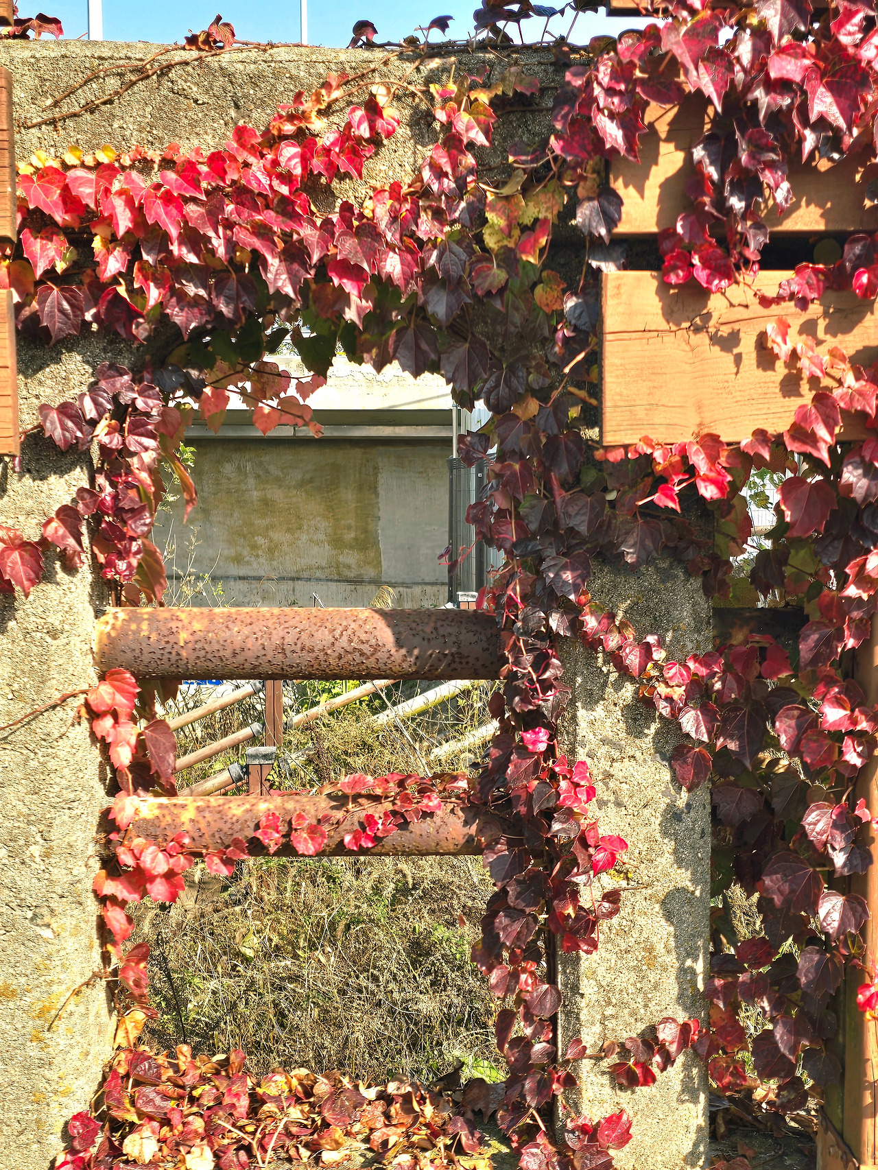 11.12 새집이사1.jpg