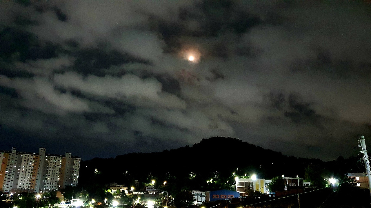 8.9 책방밤하늘.jpg