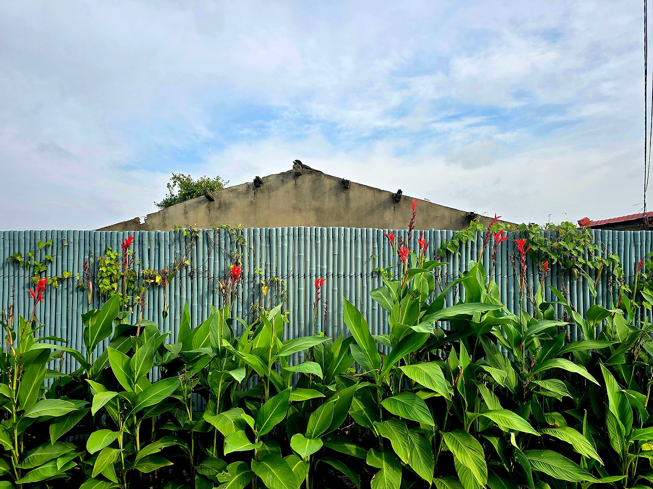 10.22 조용한 일1.jpg