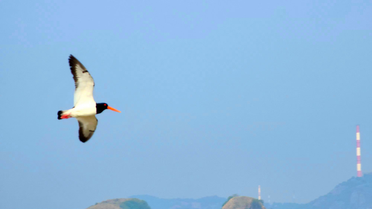 5.12 오월풍경.jpg