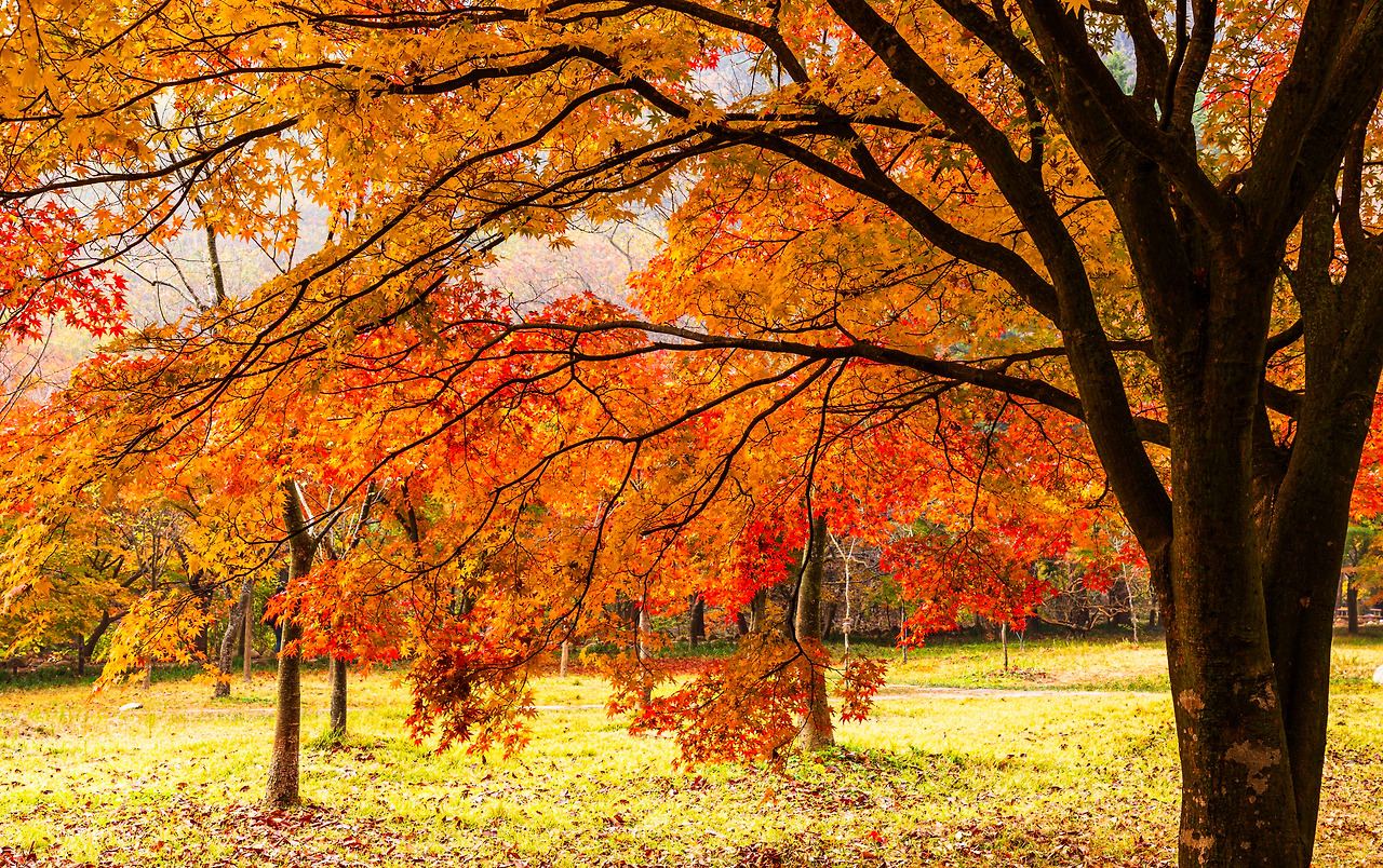 11.15블레이크 시인1.jpg