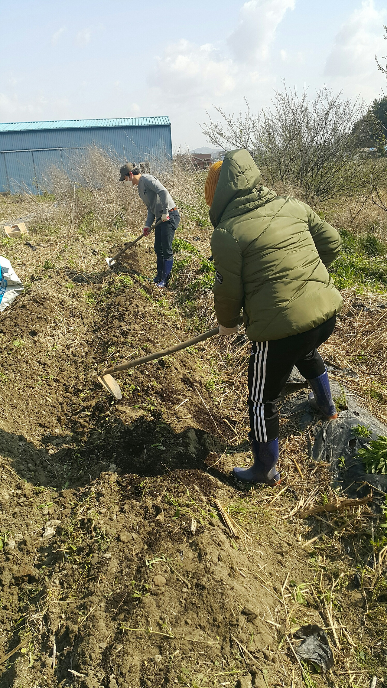 텃밭2-3.jpg