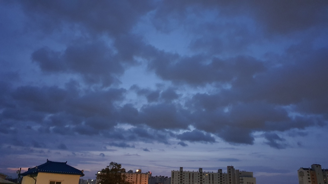 8.9 책방새벽.jpg