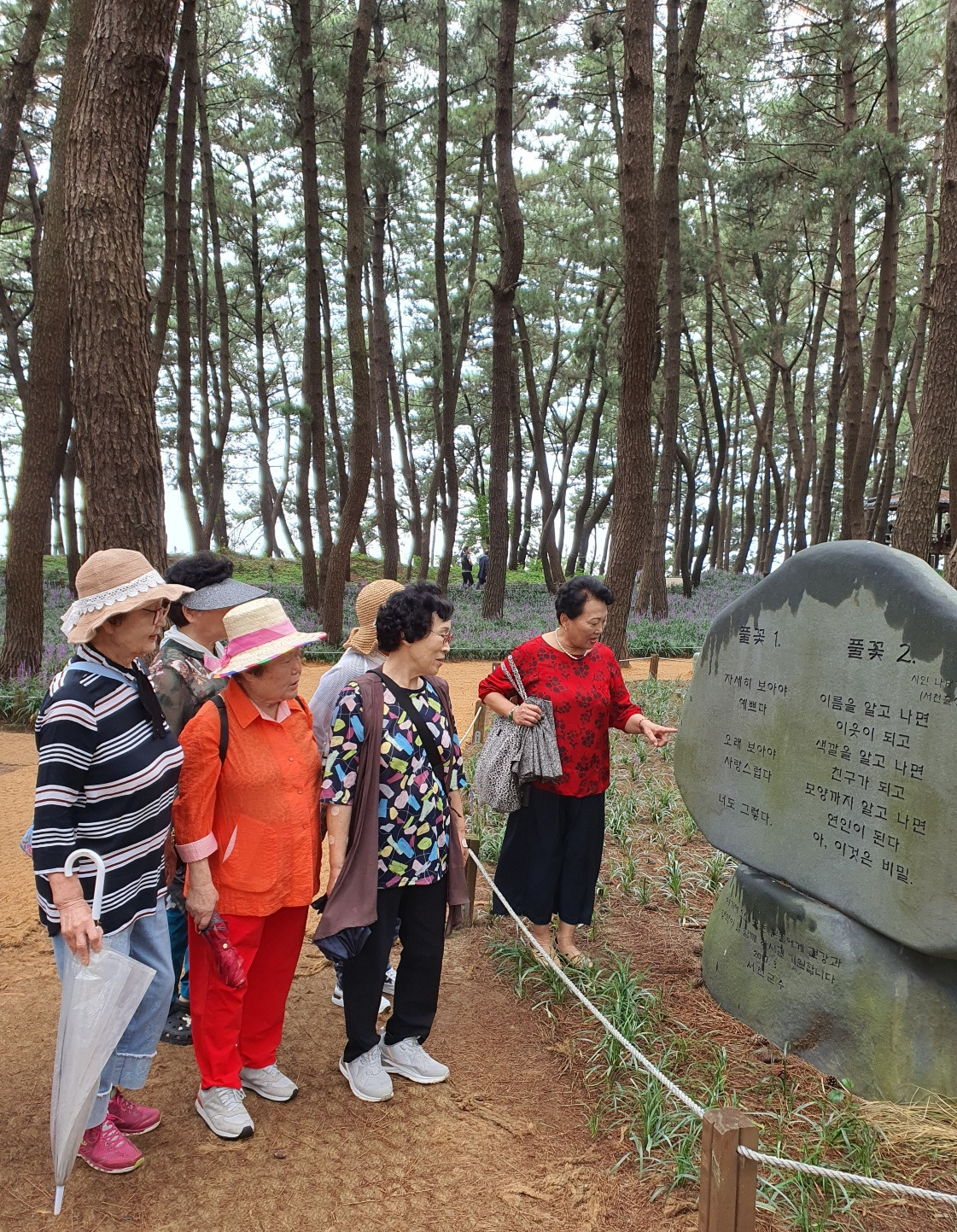 8.28 말랭이맥문동답사1.jpg