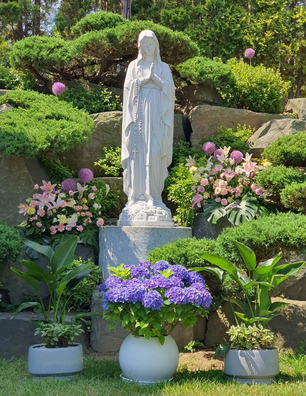 6.6 말의품격1.jpg