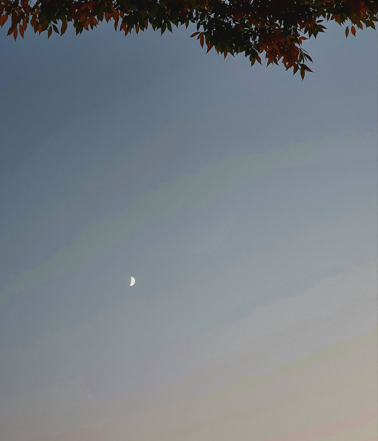 11.4 만월 구부러진 달.jpg