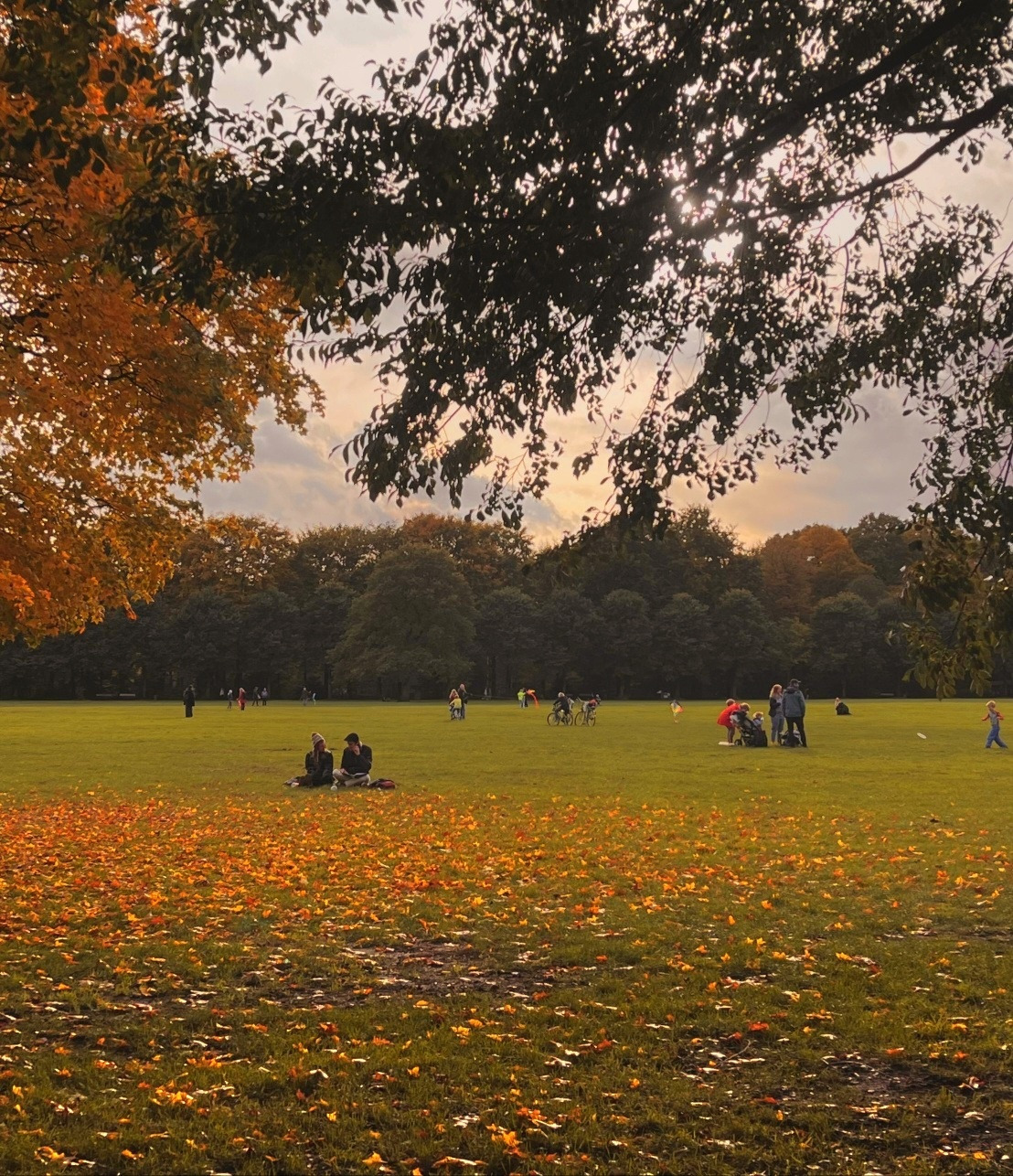 11.11가을 함부르크.jpg