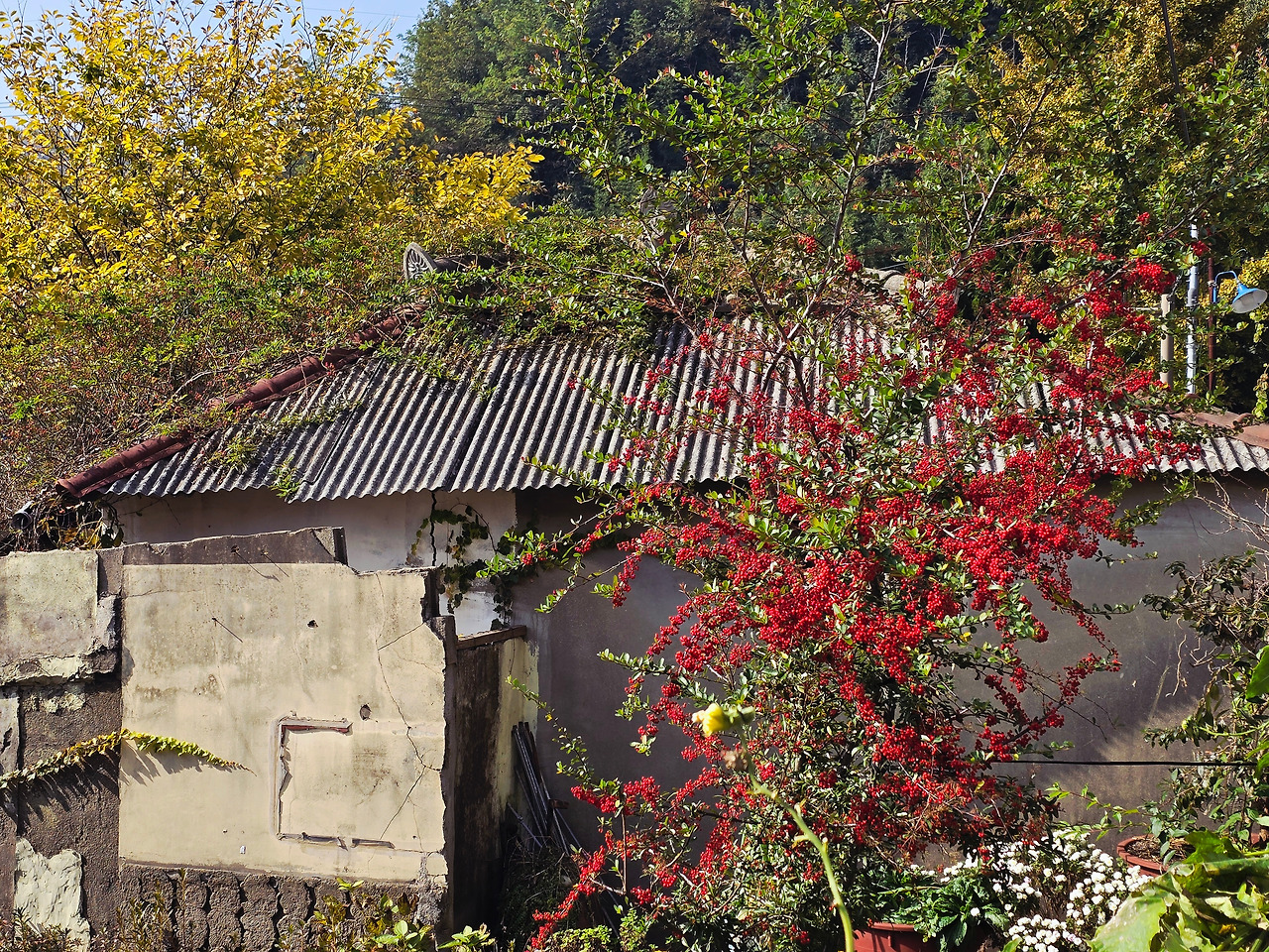 11.8 기다림 부록1.jpg