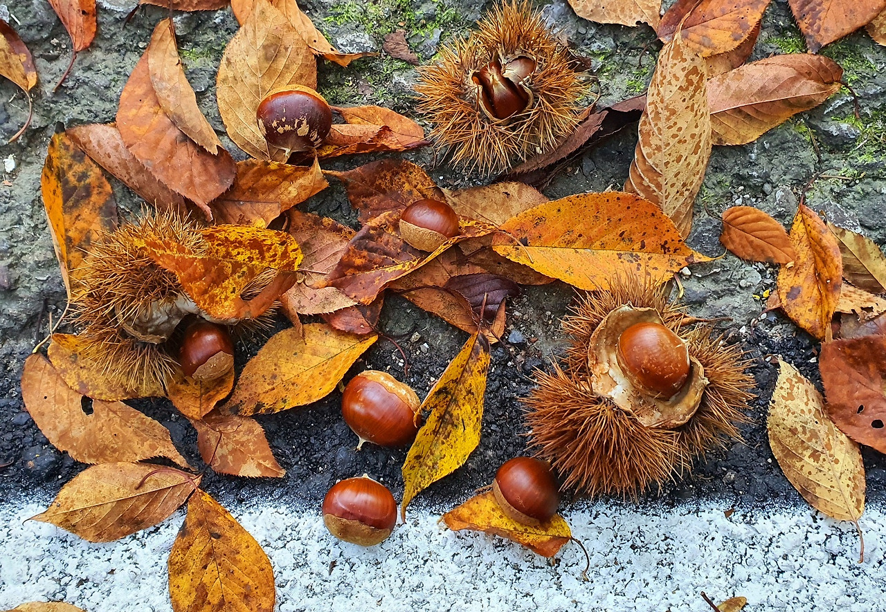 10.2 알수없어요1.jpg