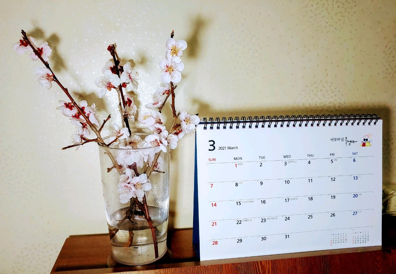 매화꽃과 달력.jpg