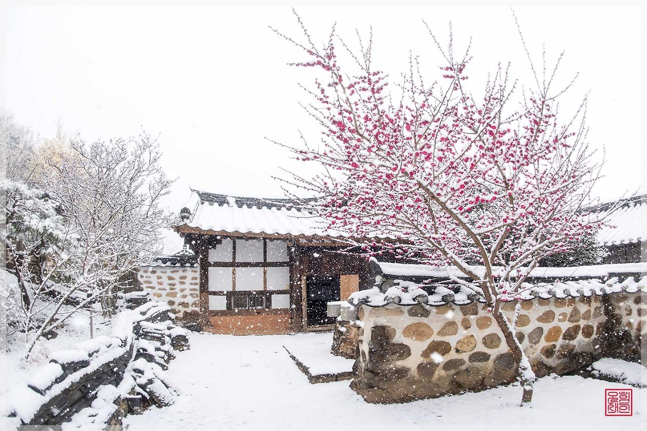 3.20겨울봄1.jpg