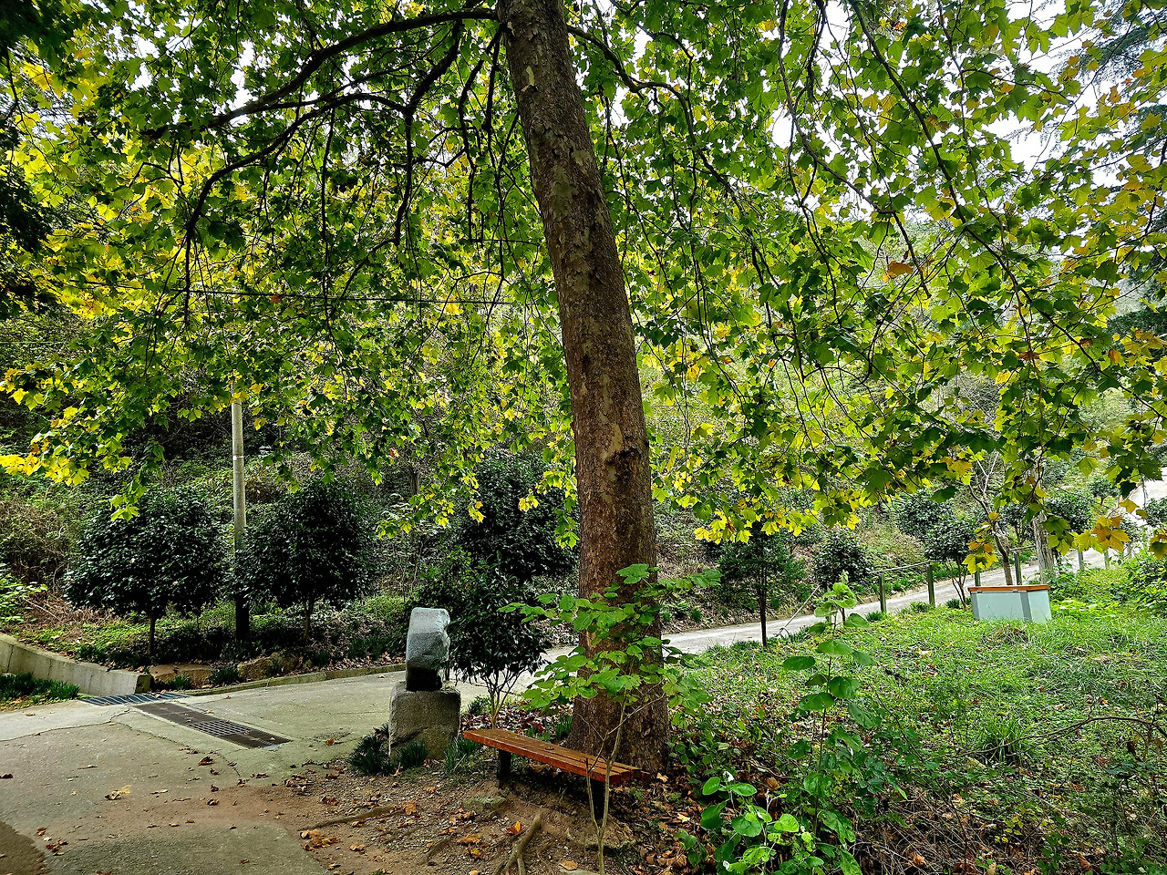 10.28 가는 10월 1.jpg