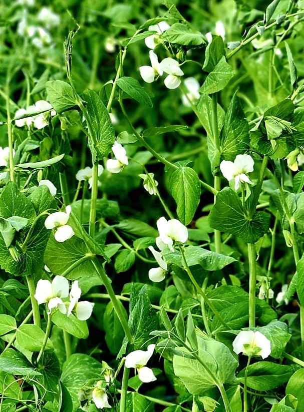 4.30사월의 끝2.jpg