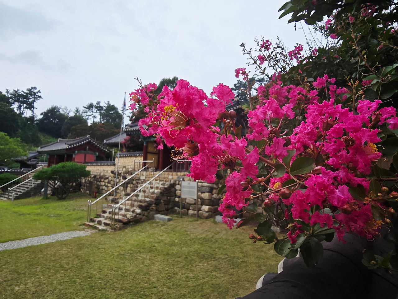 8.12 영미시특강1.jpg