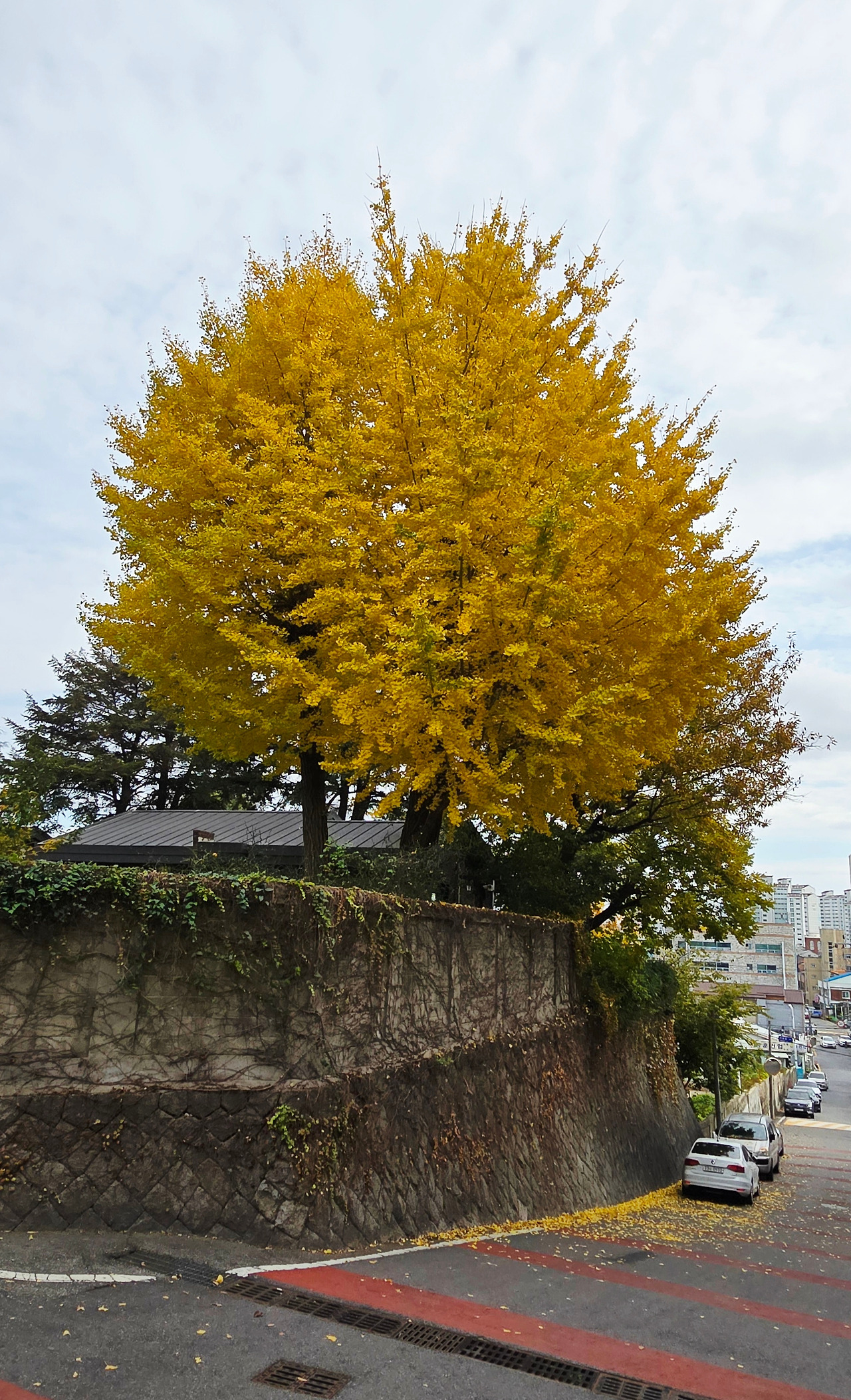 11.18 십일월풍경1.jpg