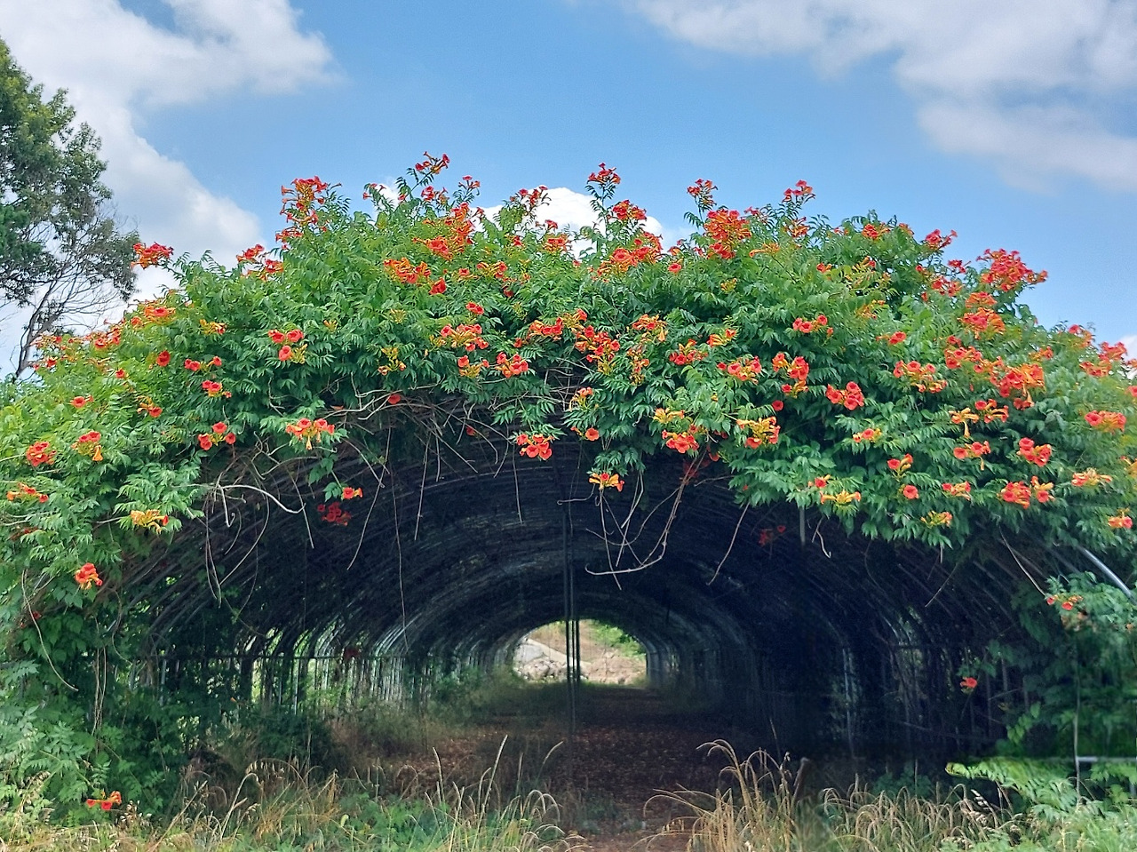 6.30유월의 끝.jpg