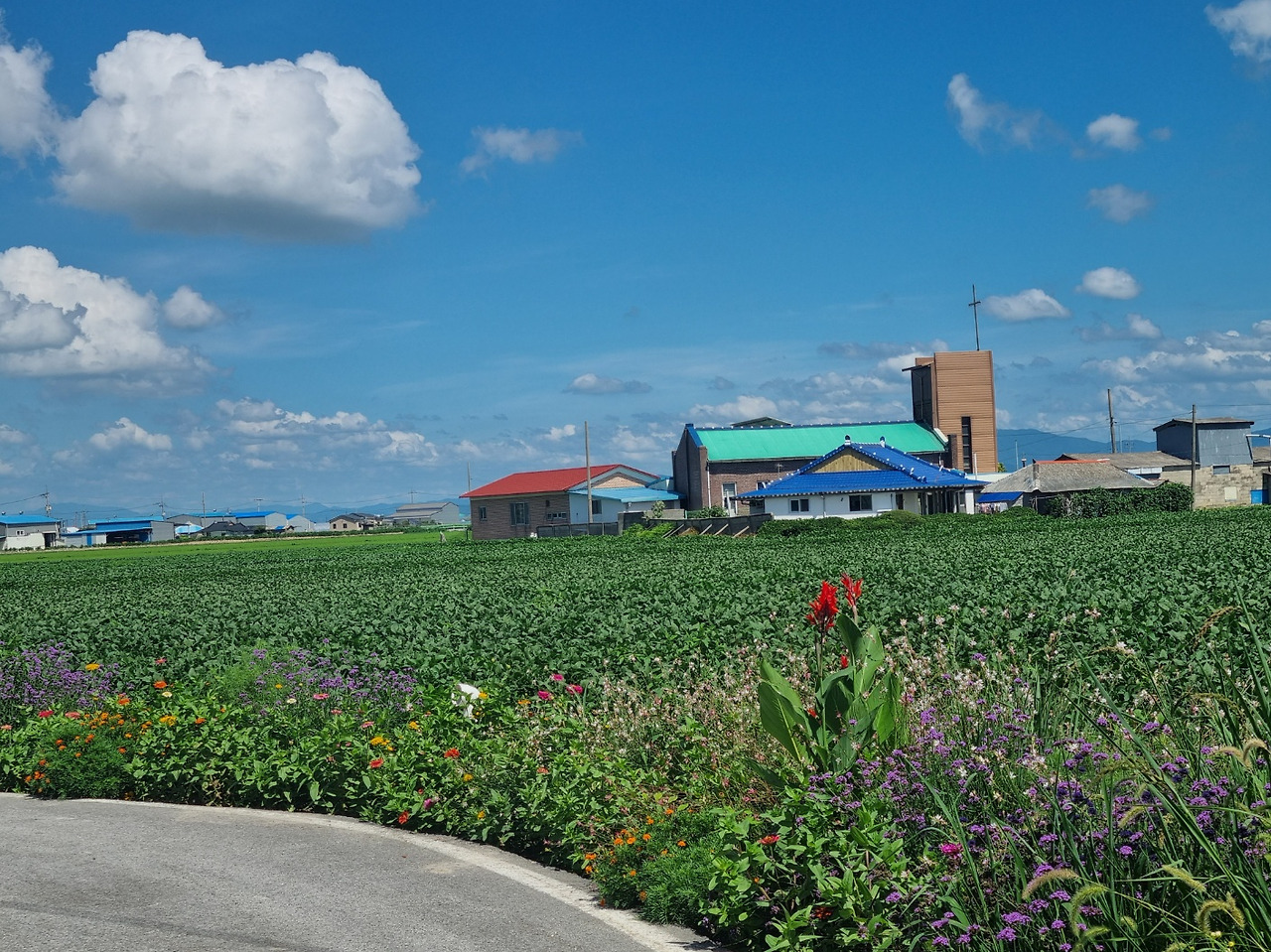 8.23 김제책방길1.jpg