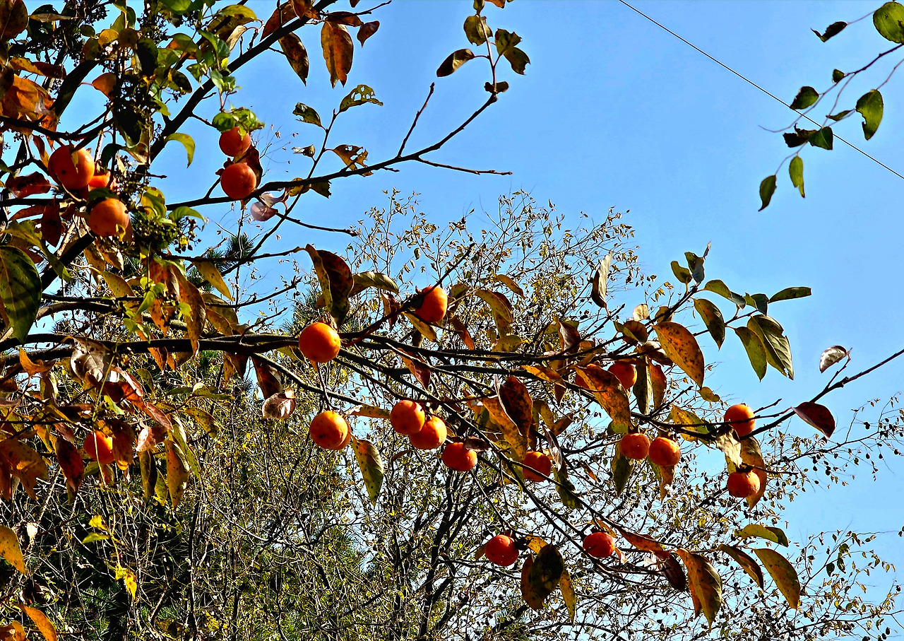 11.8 기다림 부록2.jpg