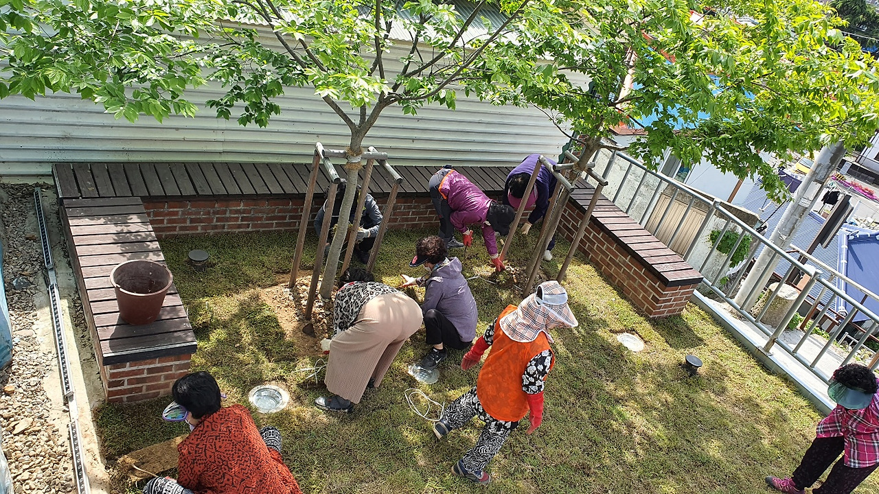 5.10 책방앞잔디.jpg