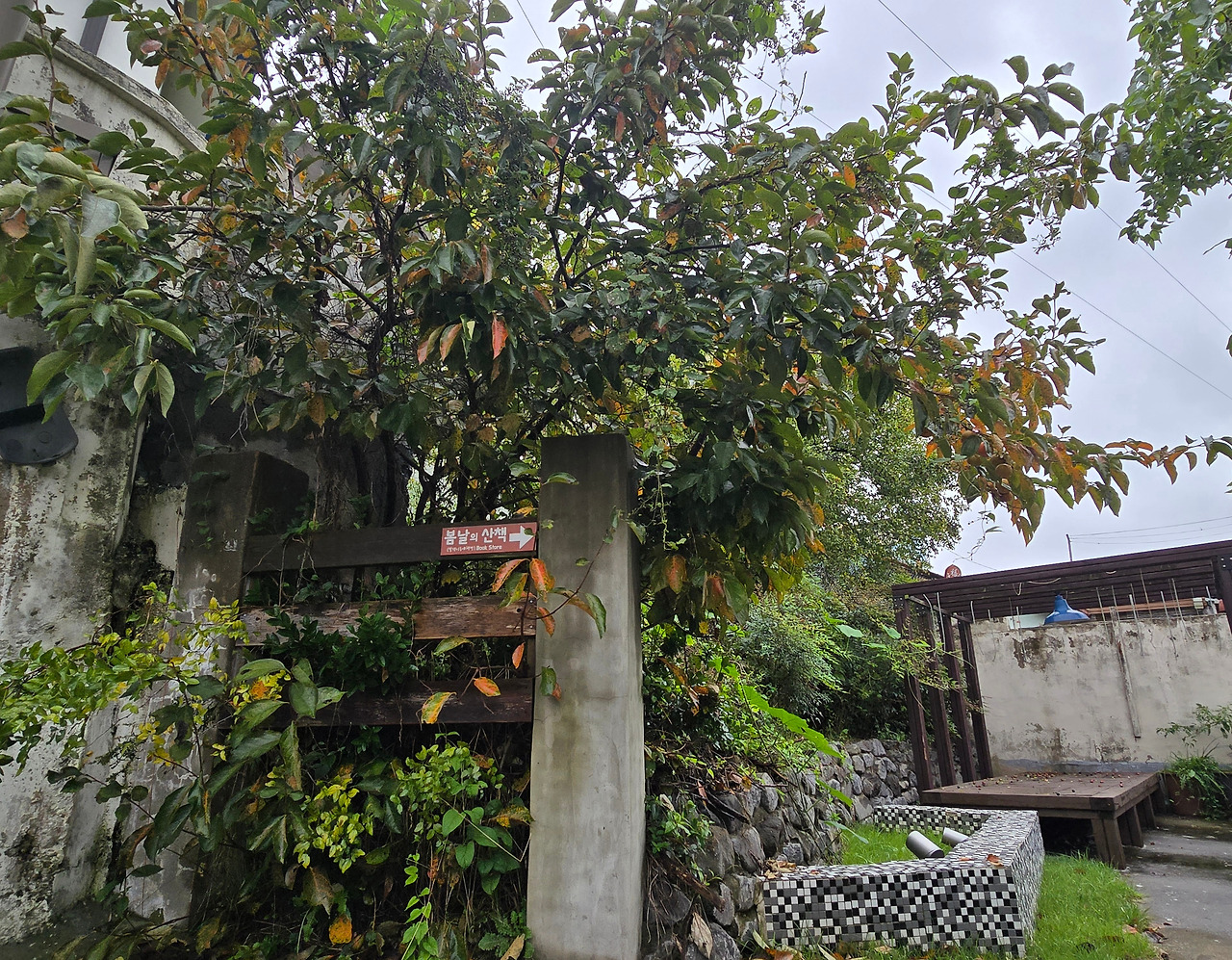 10.15말랭이가을2.jpg