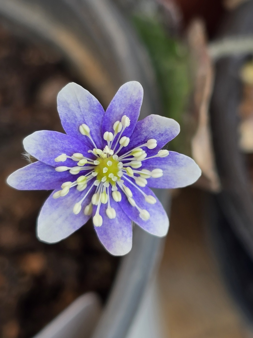 3.3 봄비소리.jpg