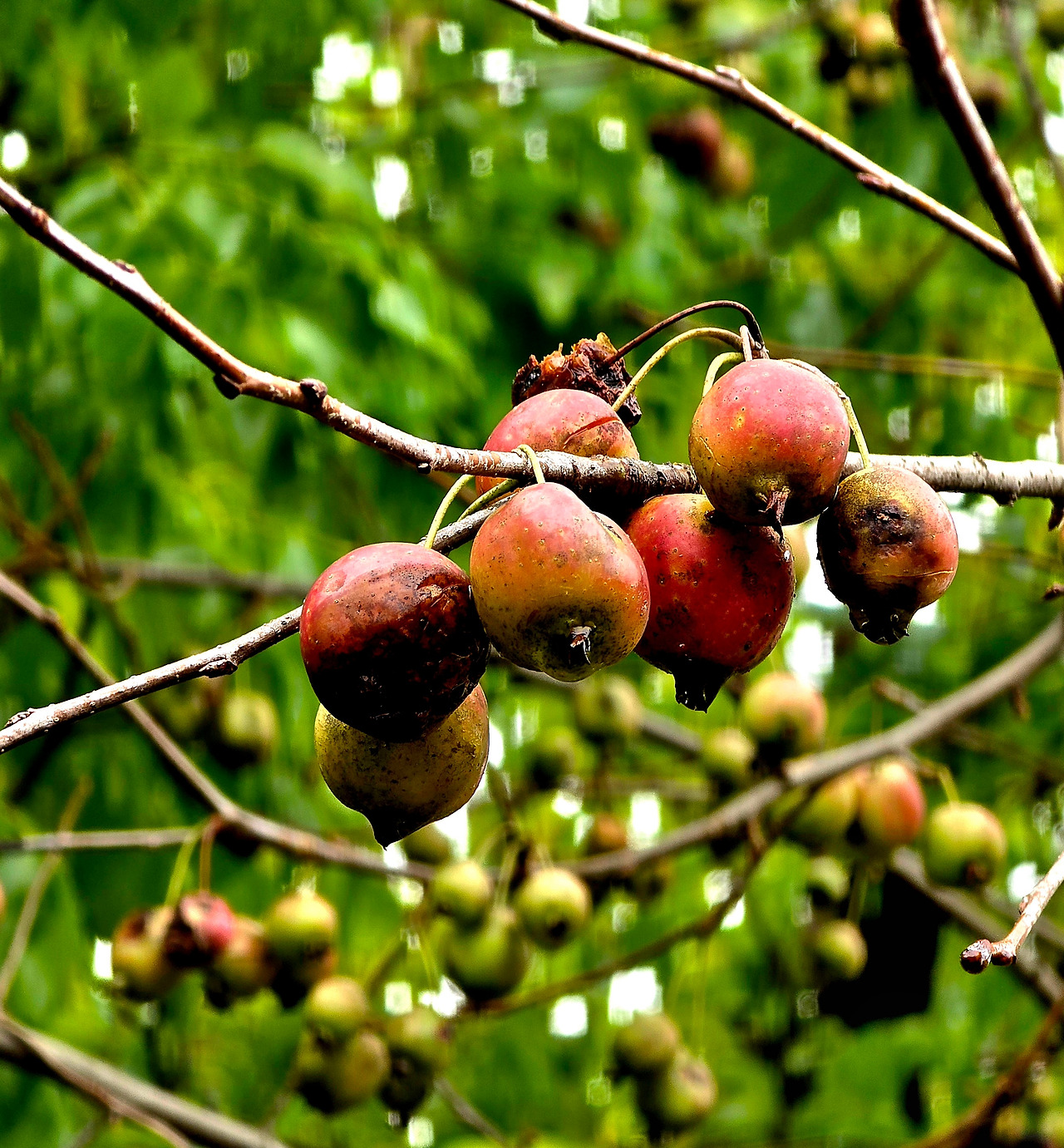 10.29 늦가을1.jpg