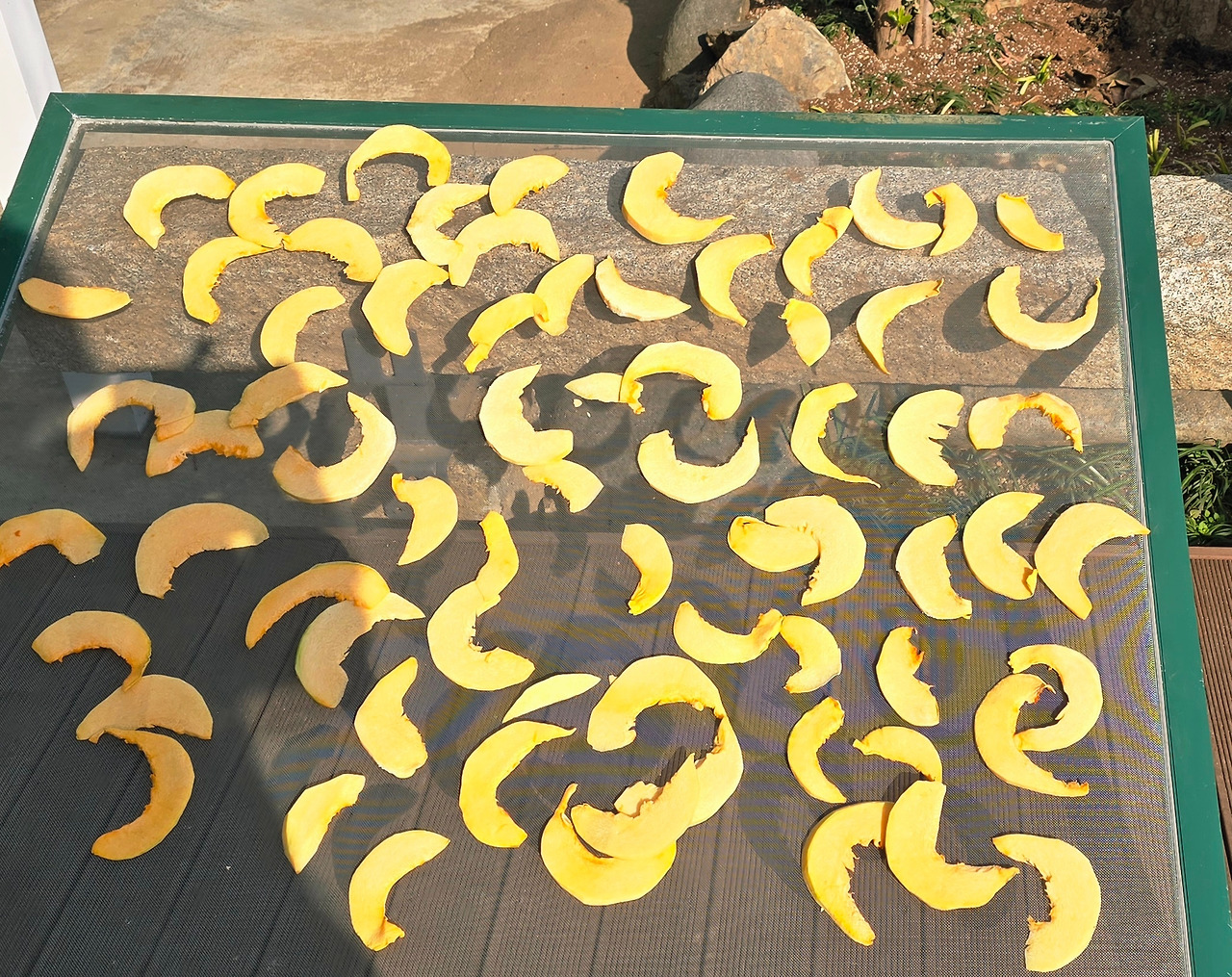 12.18 김언시인1.jpg