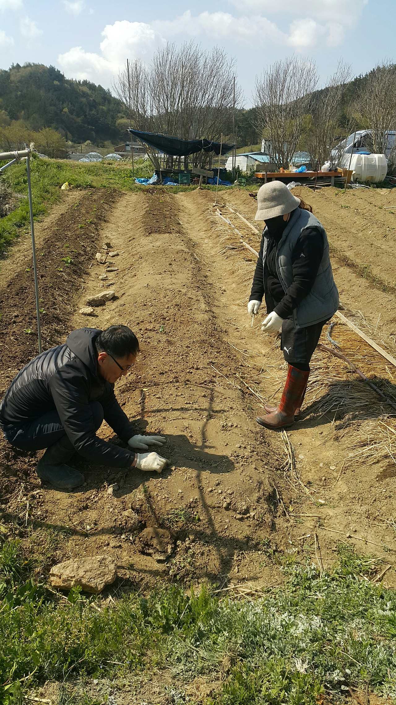 텃밭2-1.jpg